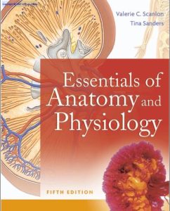 Book Cover: Essentials of Anatomy and Physiology
