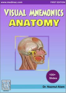 Book Cover: Visual Mnemonics Anatomy